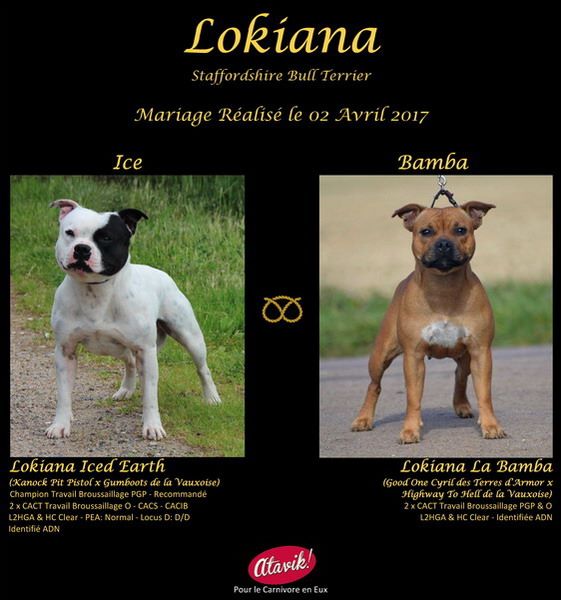 Lokiana - Mariage Réalisé le 02/04/2017