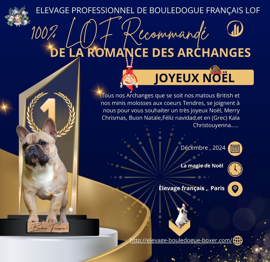 De La Romance Des Archanges - Nos  Archanges vous souhaitent un JOUYEUX NOÊL