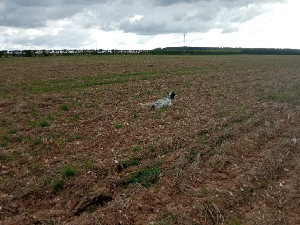 Du mont d ergny - Nouvelle recrue