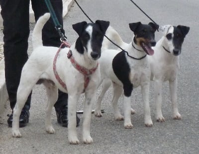 du manoir des presles - Photo de famille.......