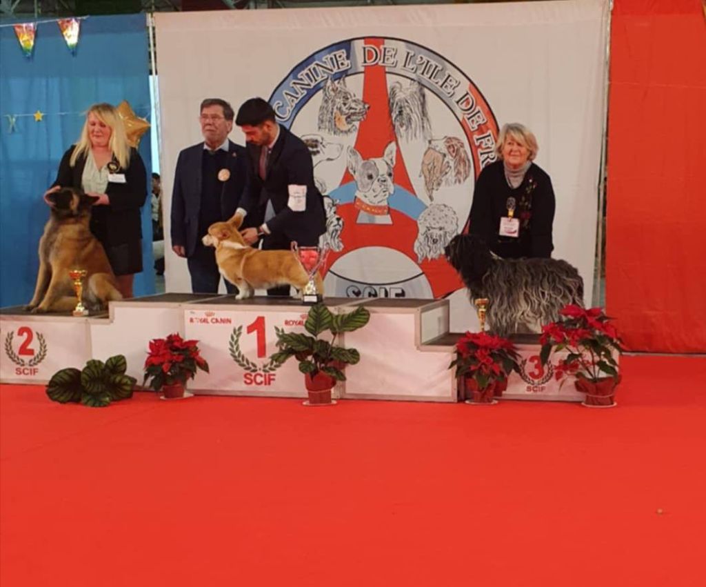 Du bois des nonnes - Paris dog show