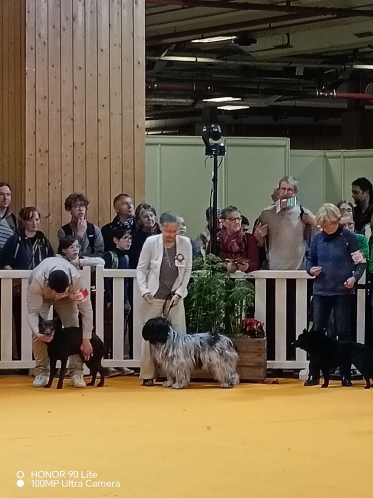 Taran au concours général agricol