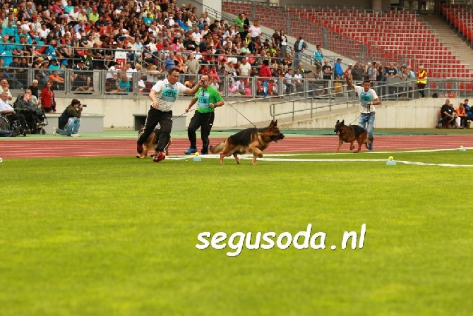 Du fosse des pandours - PJERO 21ème Excellent championnat du monde 2016