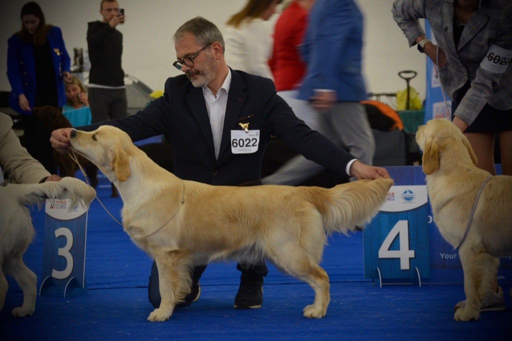 Ashbury - Championnat Du Monde à Zagreb ( Croatie ) 26.04.24 