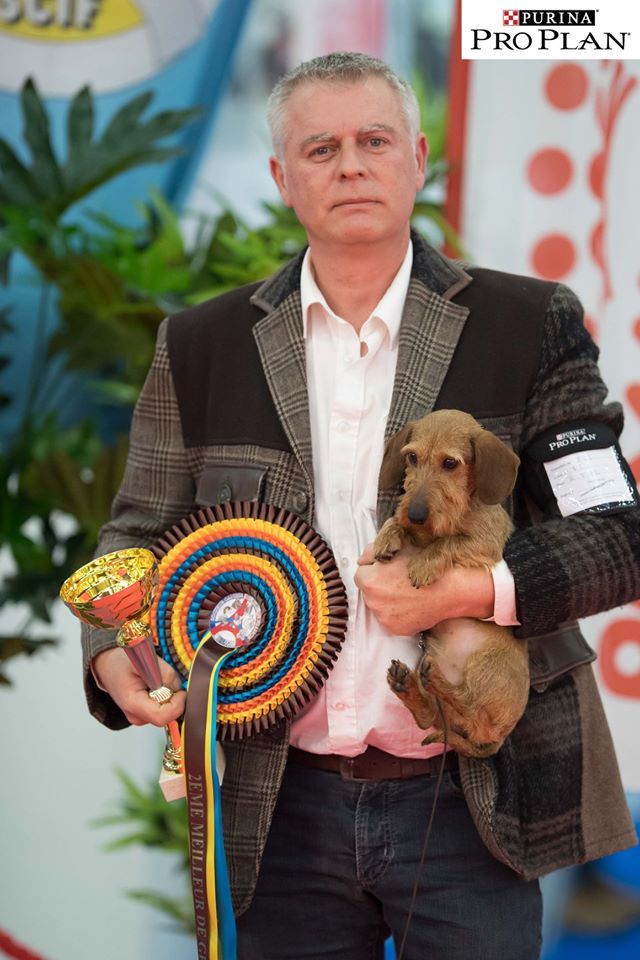 de L'Abbaye Sainte-Marie - NDS Paris Dog Show