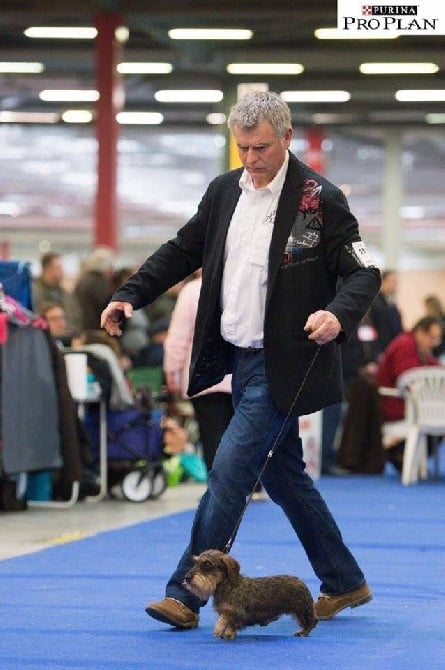 de L'Abbaye Sainte-Marie - Paris Dog Show