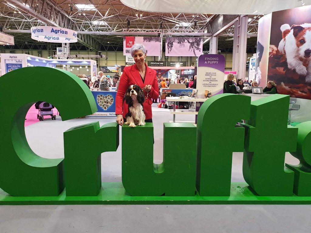 CRUFTS 2019