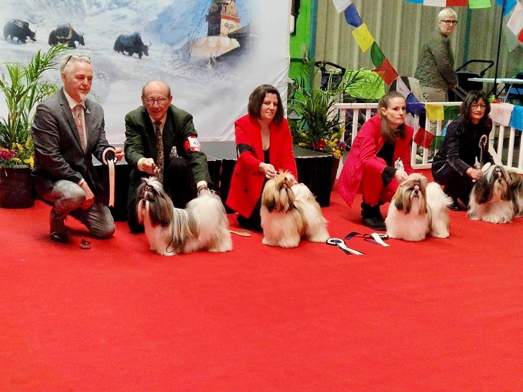 De La Baronnerie Des Cuillerdier - LUK vice Champion de France Jeune 2024