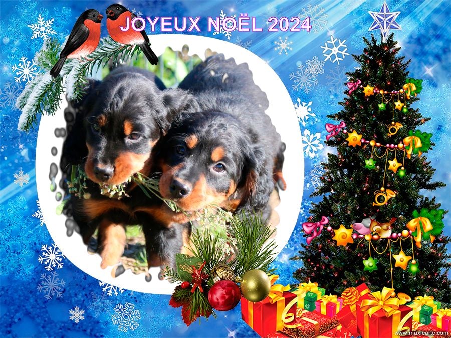 De La Flèche Noire Et Feu - JOYEUX NOËL 2024