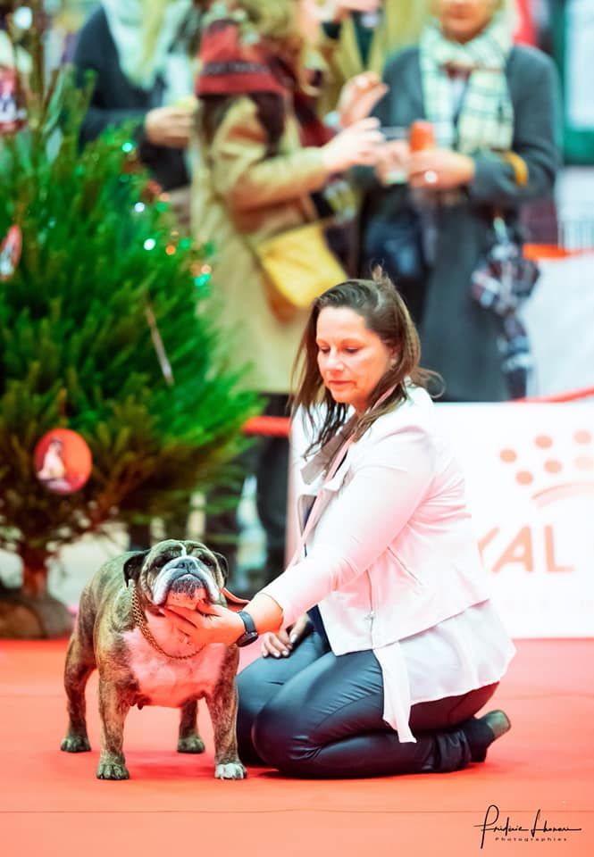 MEILLEUR DE SEXE OPPOSE ET VETERAN  PARIS DOG SHOW 