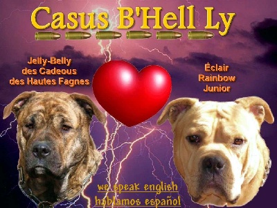 Casus B'hell Ly - SITE EN 3 LANGUES- PORTEE 2013