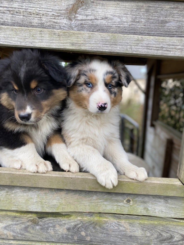 Nous attendons avec impatience notre future famille ?