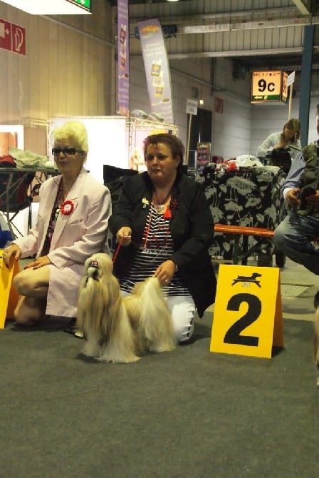 Shangri-la Blue River - LUXEMBOURG DOG SHOW 30.08.02014