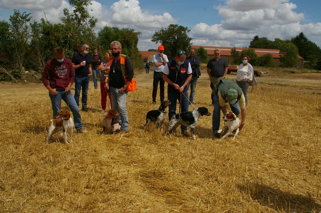 du grand capricorne - TAN à Charmont (Val d'oise) le Dimanche 25 Juillet 2021