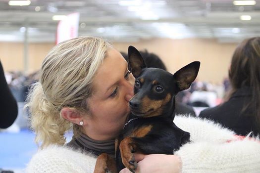 Du Domaine De Goult - Paris Dog Show