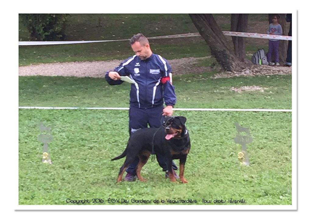 Des Gardiens De La Veaussardière - Regional Show UFR Aubagne 10/2015 (Jenka WK)