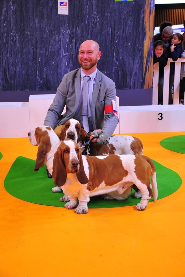 du Domaine De Léon De La Seille - Médaillé d'or 2019 au concours général agricole