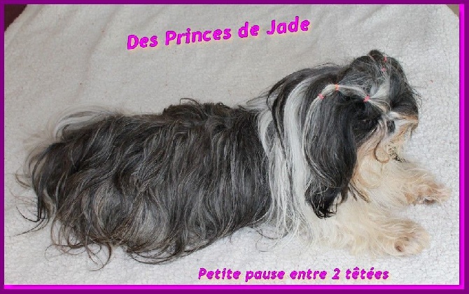 Des Princes De Jade - Cotation 4 pour Ilona