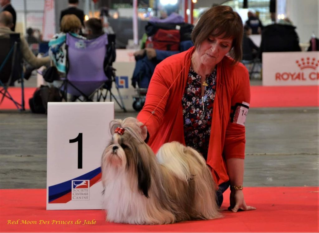 Des Princes De Jade - CHAMPIONNAT DE FRANCE 2022