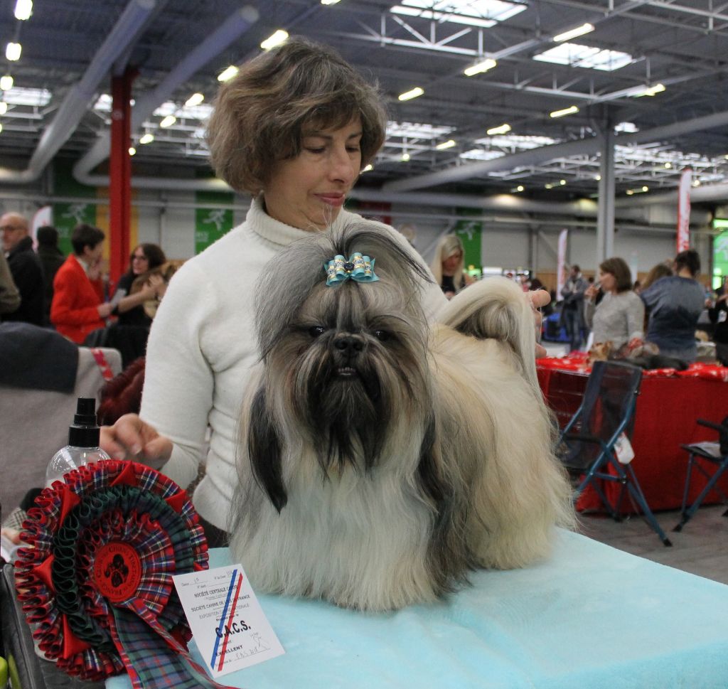 Des Princes De Jade - Paris Dog Show 2018