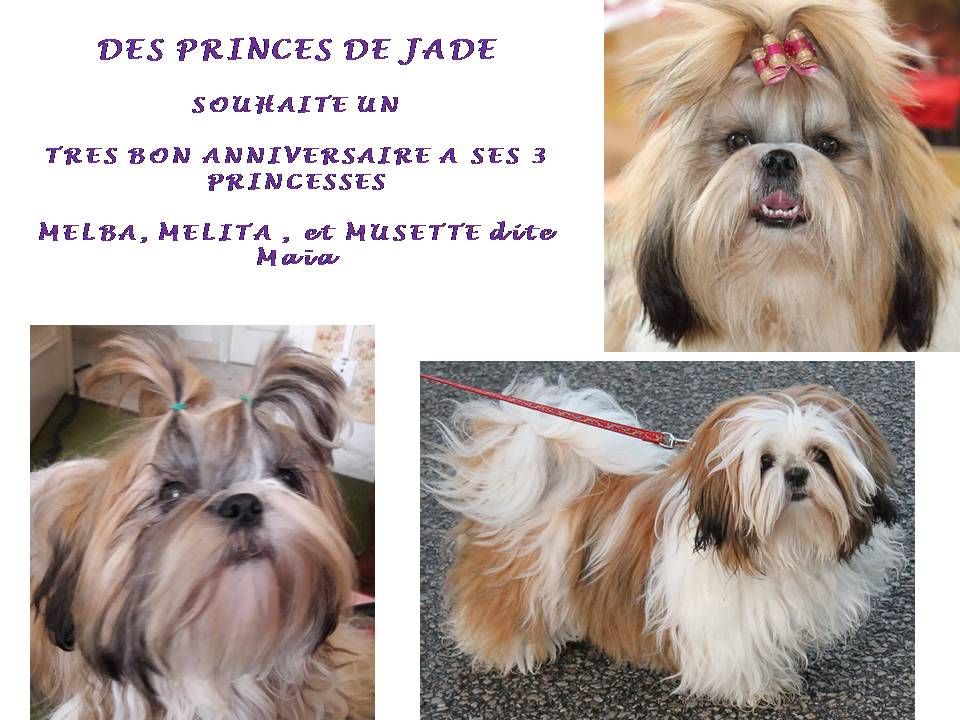 Des Princes De Jade - 1er Anniversaire 