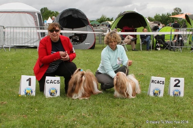 Des Princes De Jade - Exposition canine de Evreux CACS