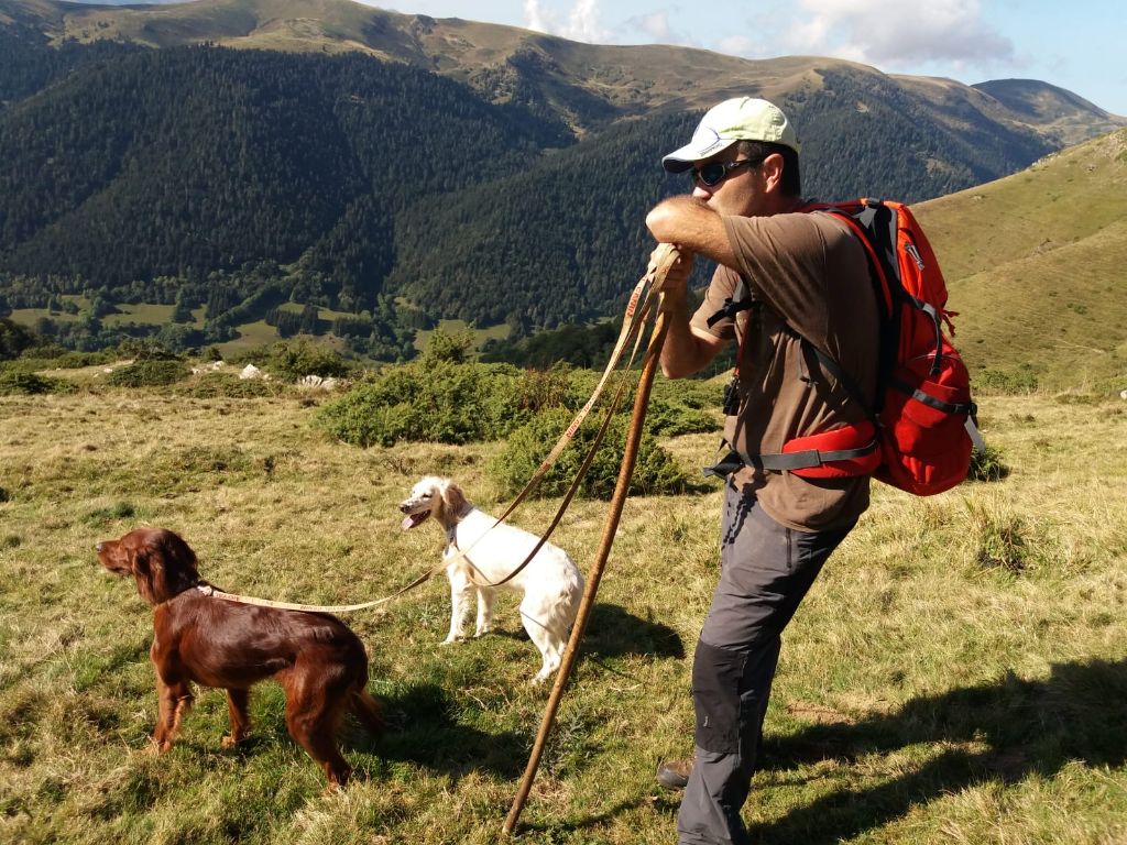 De Causses Et D'Aubrac - la montagne pyrénéenne  et ses concours sur Gris