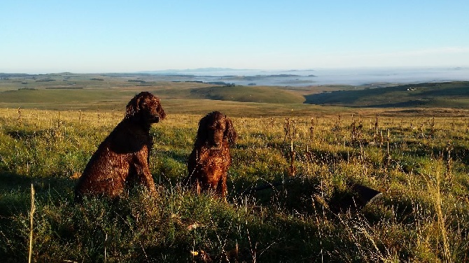 De Causses Et D'Aubrac - Ouverture chasse 2014