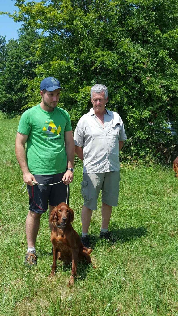 De Causses Et D'Aubrac - Owene (Irun x Look) gagne la finale des 1 an