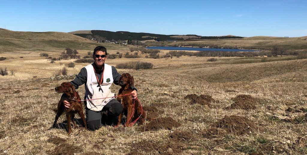 De Causses Et D'Aubrac - 6 jours bécassines Auvergne 