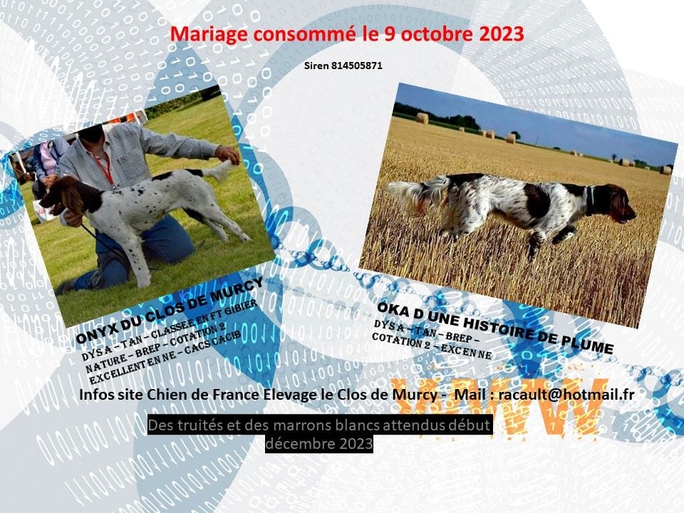 Du Clos De Murcy - GESTATION CONFIRMEE !!!!