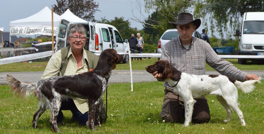 Du Clos De Murcy - ONYX ET OBI WAN A LEUR 1ERE EXPO