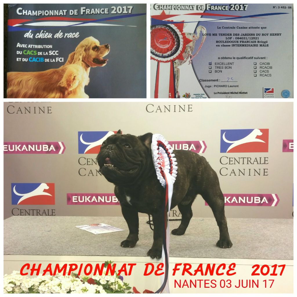 Des Jardins Du Roy Henry - CHAMPIONNAT DE FRANCE 2017 À NANTES 