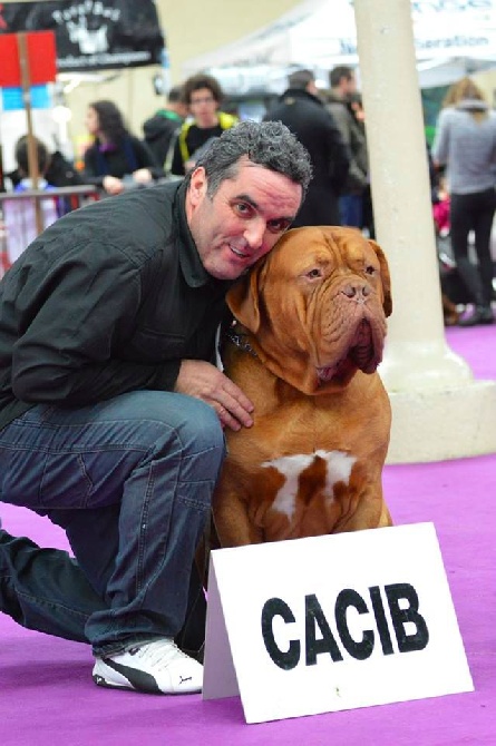 Dogue Force One - Exposition Internationale de Valence