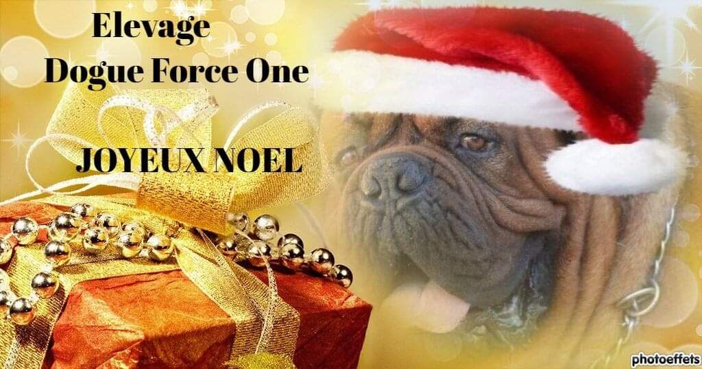 Joyeux Noël 