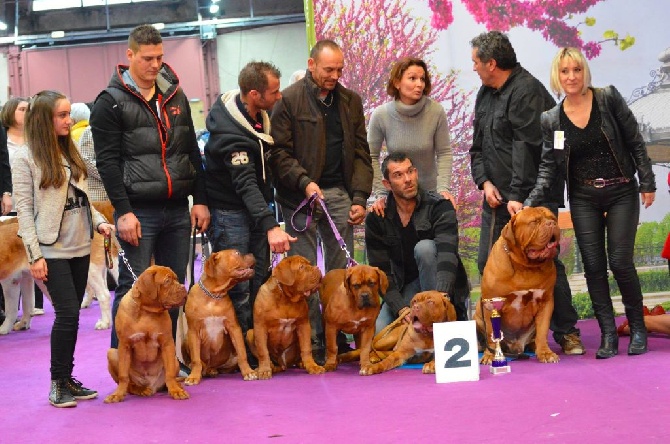 Dogue Force One - Exposition de Valence 