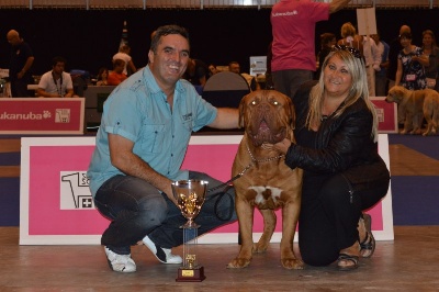 Dogue Force One - Européan Dog Show Palexpo Genève 31 Aout 2013