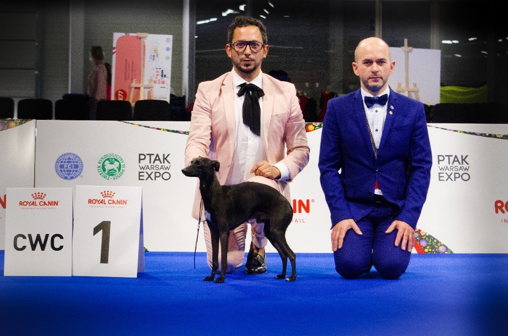 De La Squadra D'Elite - European Dog Show 2018 Varsovie- Pologne