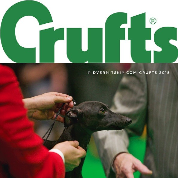 De La Squadra D'Elite - Crufts 18'