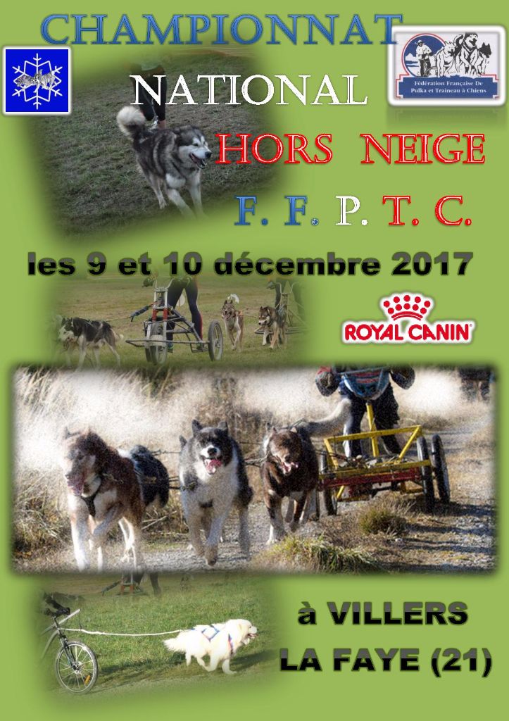 Des Princes De La Toundra - CHAMPIONNAT NATIONAL 2017