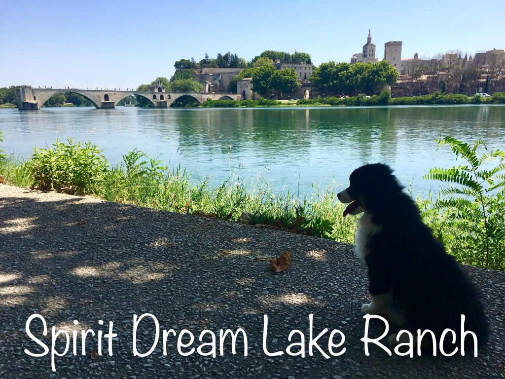 Of Spirit Dream Lake - Avignon 