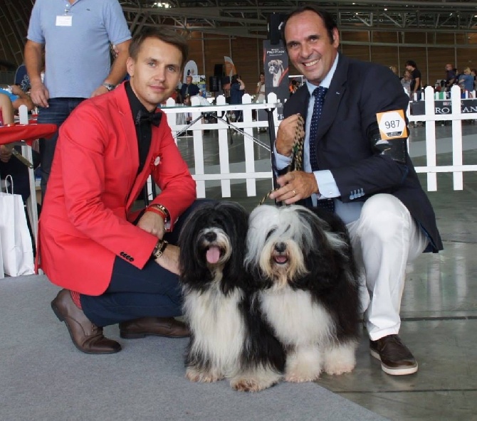 Azur Wings - EXPOSITION INTERN DE TURIN 2015 - Spéciale de race