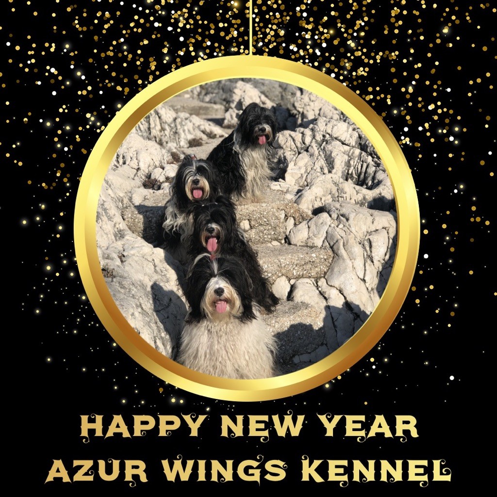 Azur Wings - BONNE ANNEE 2020 