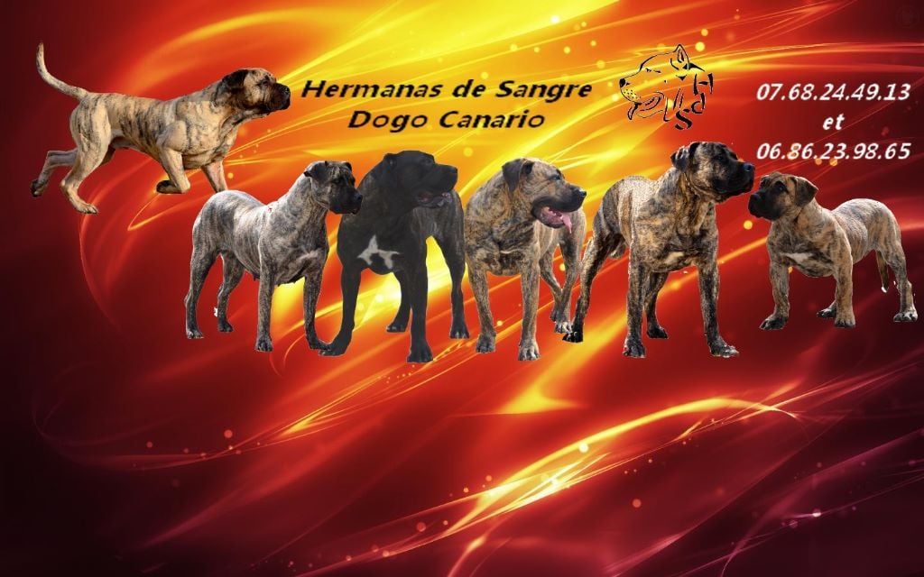 Hermanas De Sangre - mon site facebook