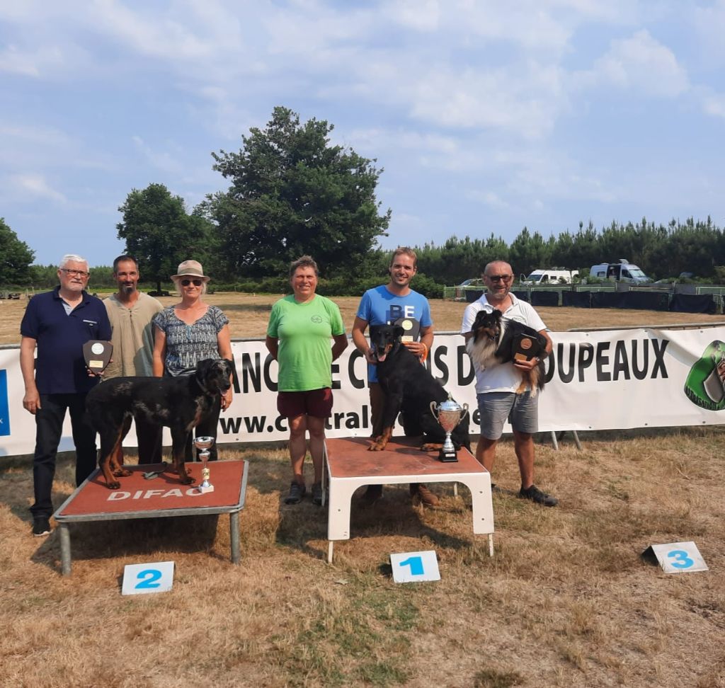 De La Comté Des Odins - Coupe de France FCI Trad Biscarosse (40).