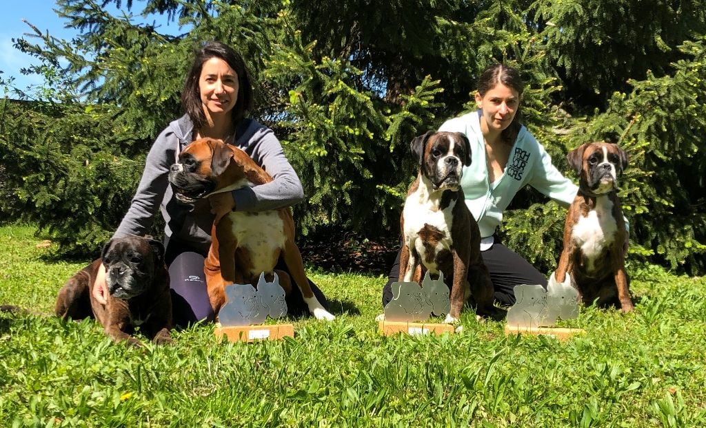 De Phileas Dog - Nationale d'élevage boxer 2019 : résultats au top en famille !