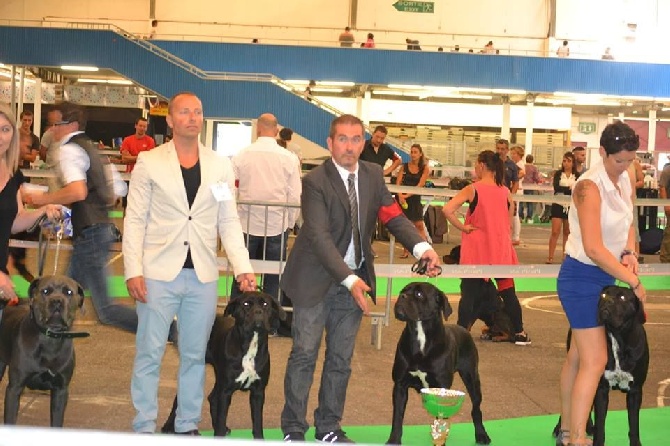 Du Moulin De Bagneux - Resultats expostion canine de Dijon "spéciale de race"