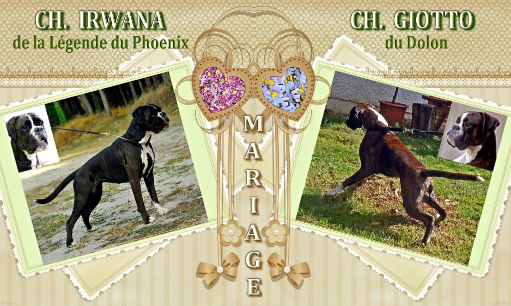 Le mariage d'Irwana