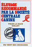 1er Elevage Recommandé SCC en colley !!