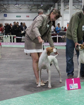 des Gorges du Regalon - CHAMPIONNAT DE FRANCE 2013